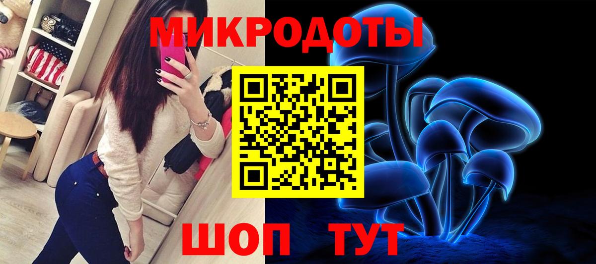 Псилоцибиновые грибы мухоморы Волжский
